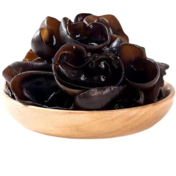 high qulity Black fungus for sale